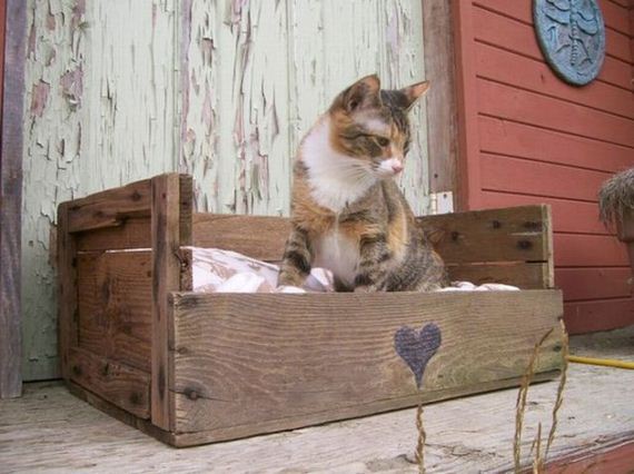 Pet Bed