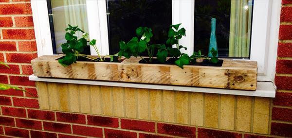 Window Boxes