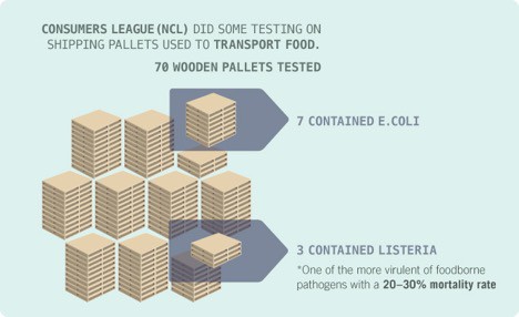 mold in wooden pallets